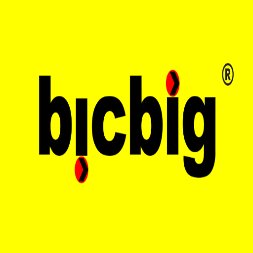 Bicbig Logo